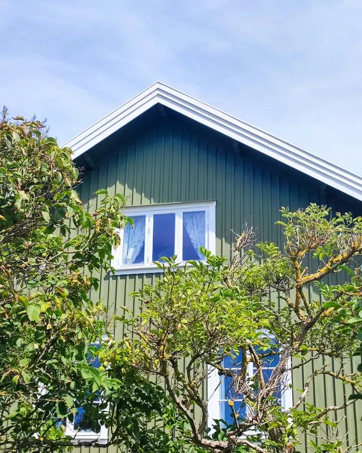 Grönt trähus med vita fönster bakom träd